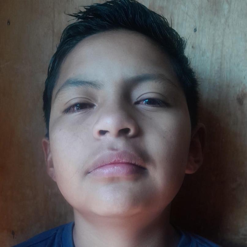 User Image