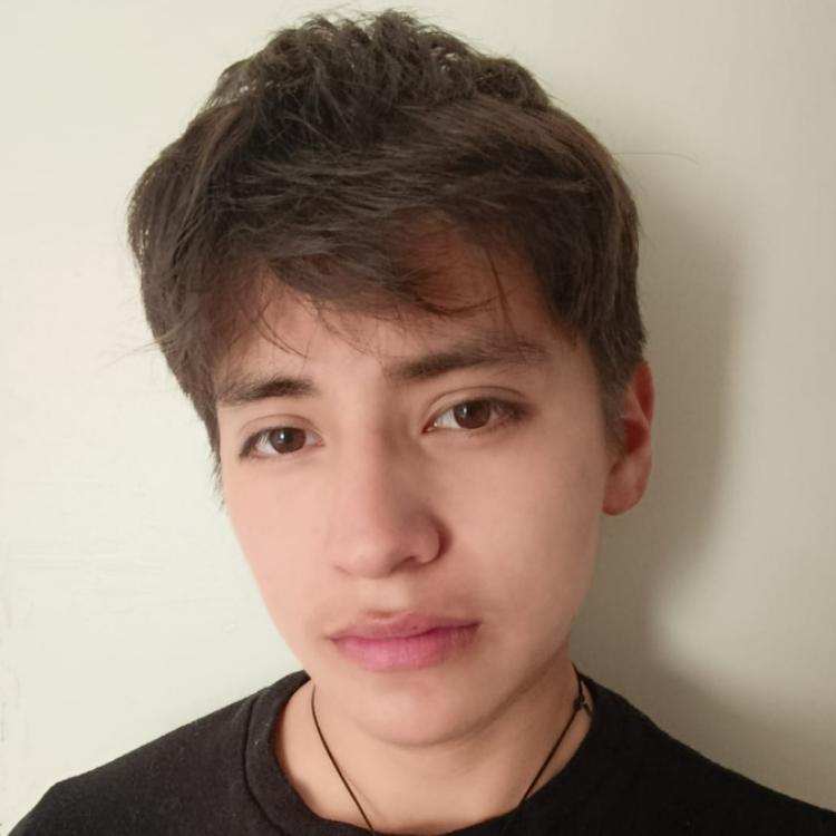 User Image